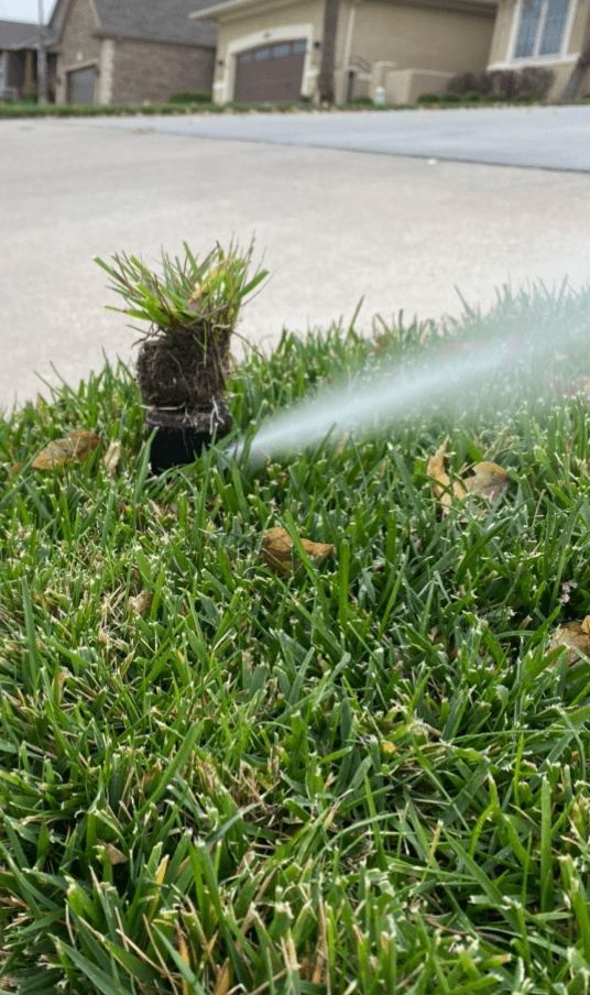 Aqua Sprinkler Systems service example